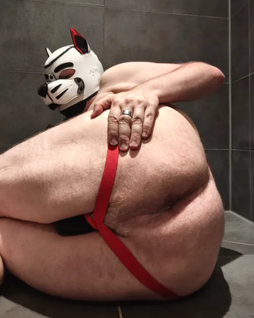 Pup waiting in the shower