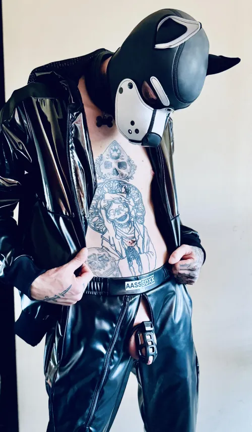 Shiny pup ready to serve 🐶