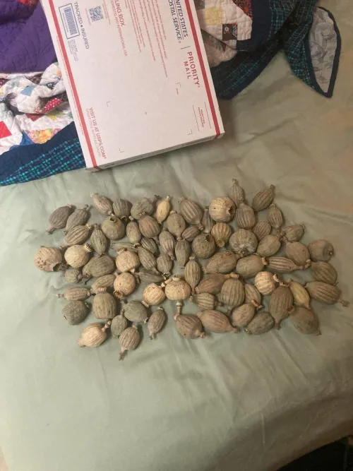 This is the right one