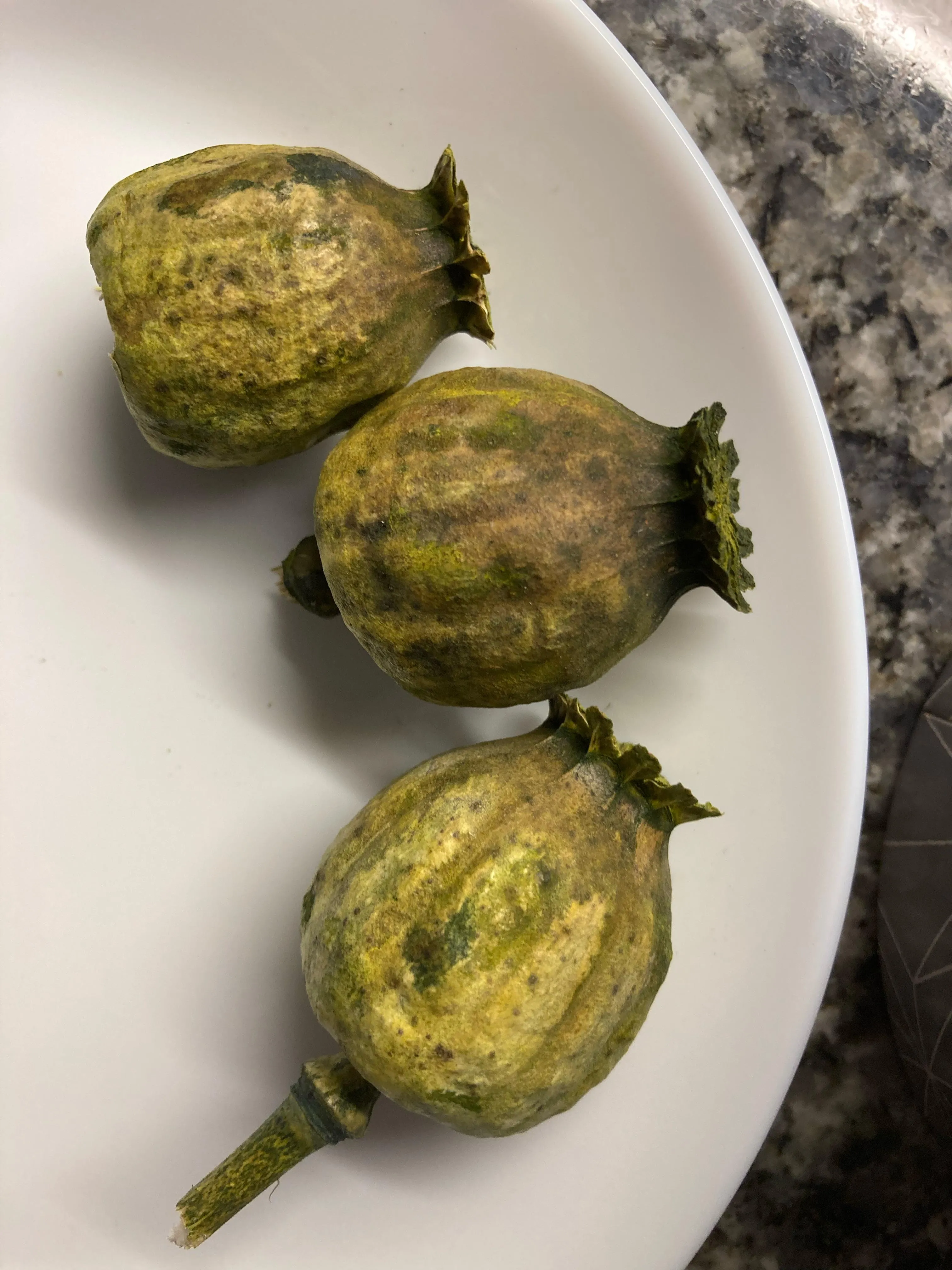 What kind of papaver are these?