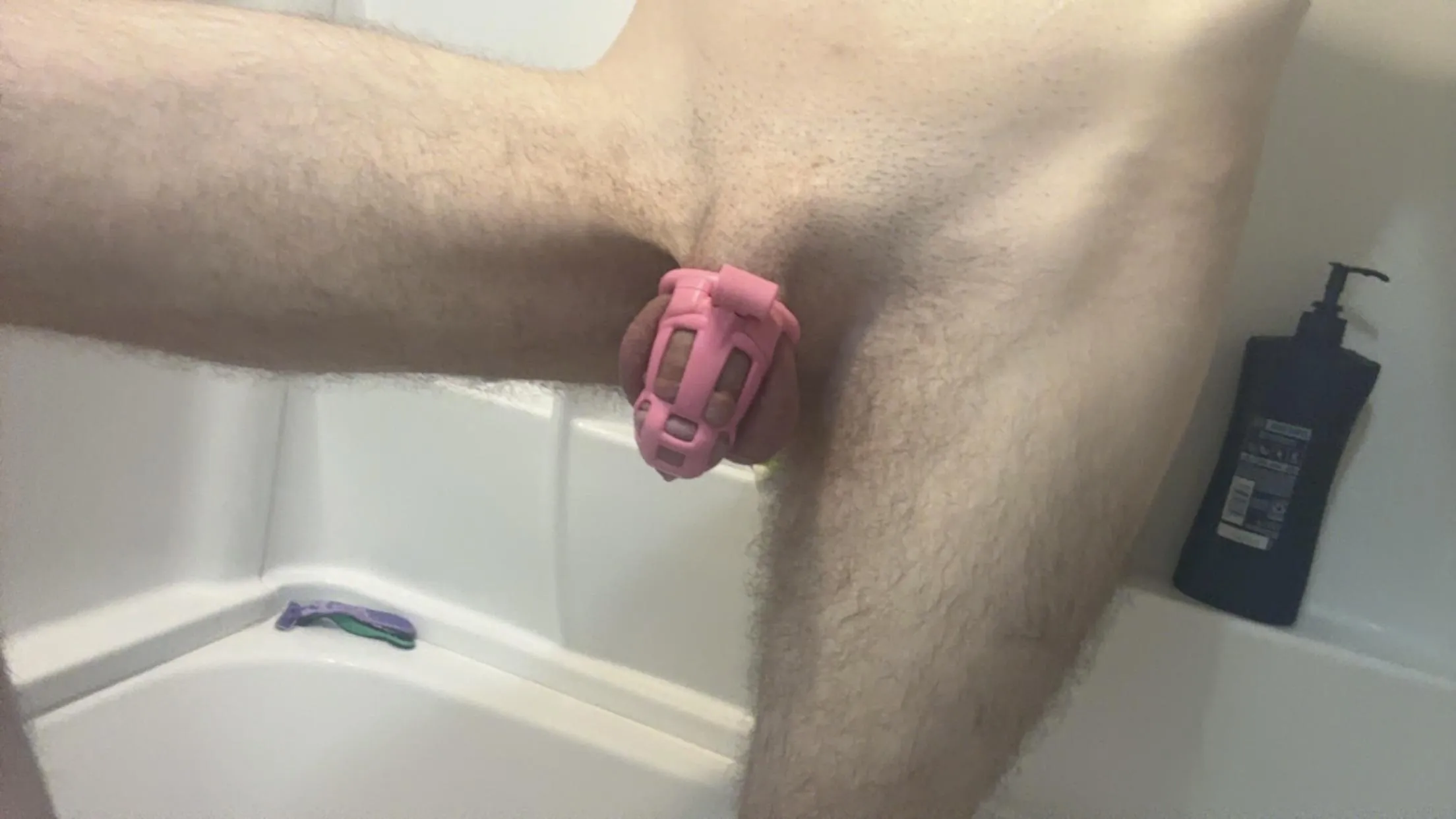 freshly cleaned cage check