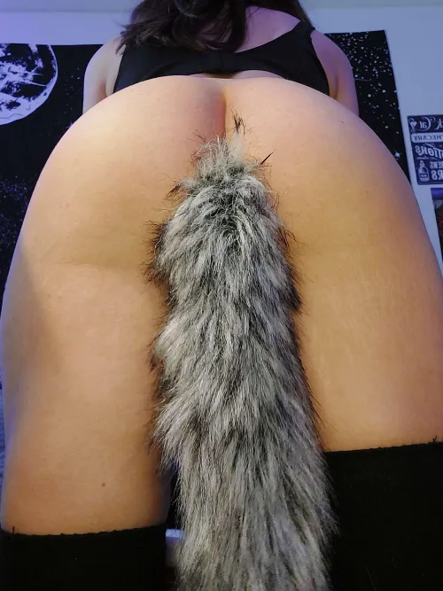 i show off my tail whenever master tells me 2 >//<