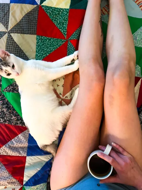 Kitten, coffee, and legs