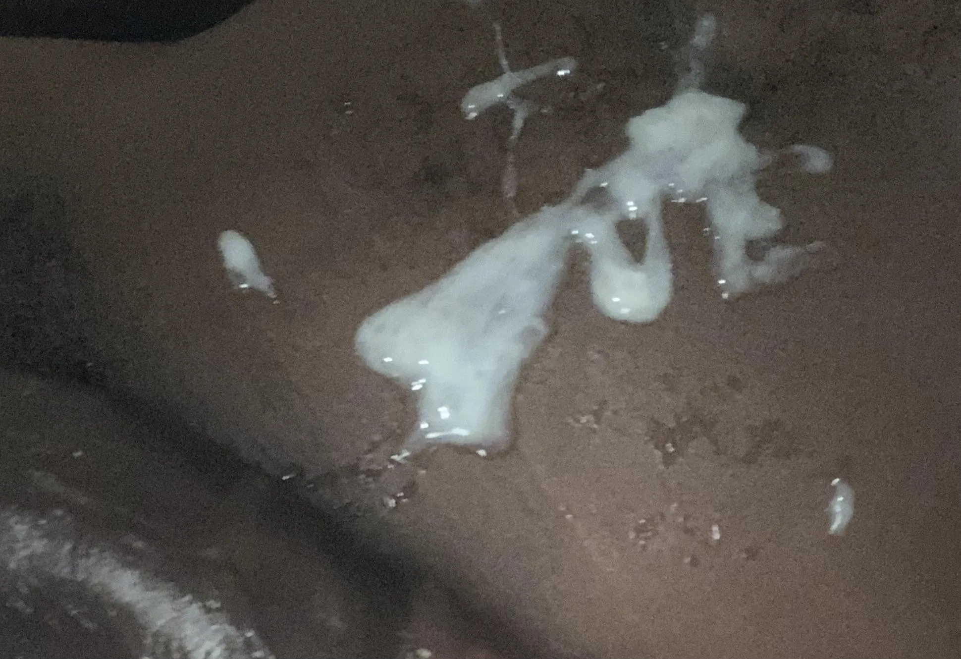 Let me shoot a load in you⬇️