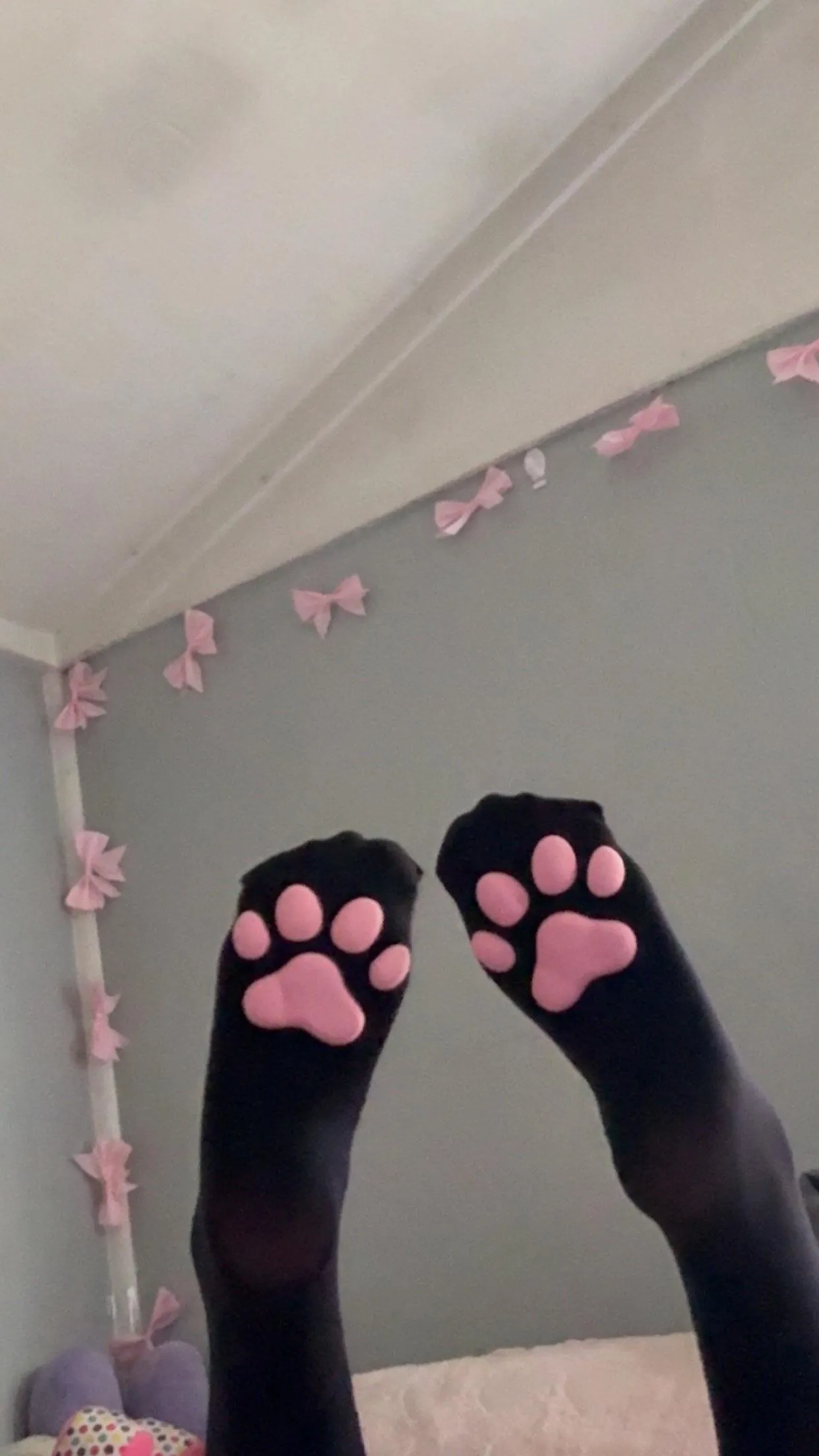 lil paws :3