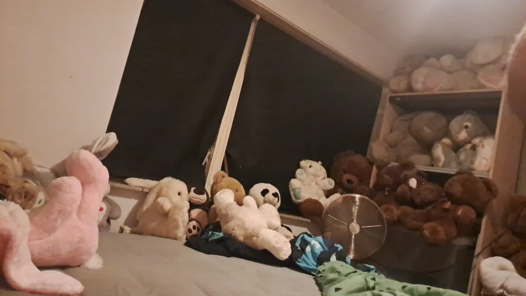 Plushie heaven
