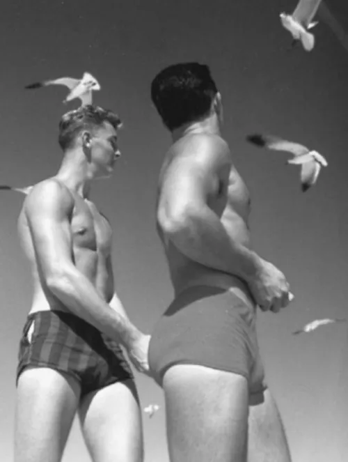 Swim Briefs and Seagulls