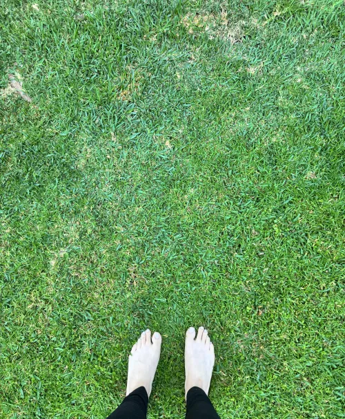Bare toes on dewy morning grass 💚 the best feeling