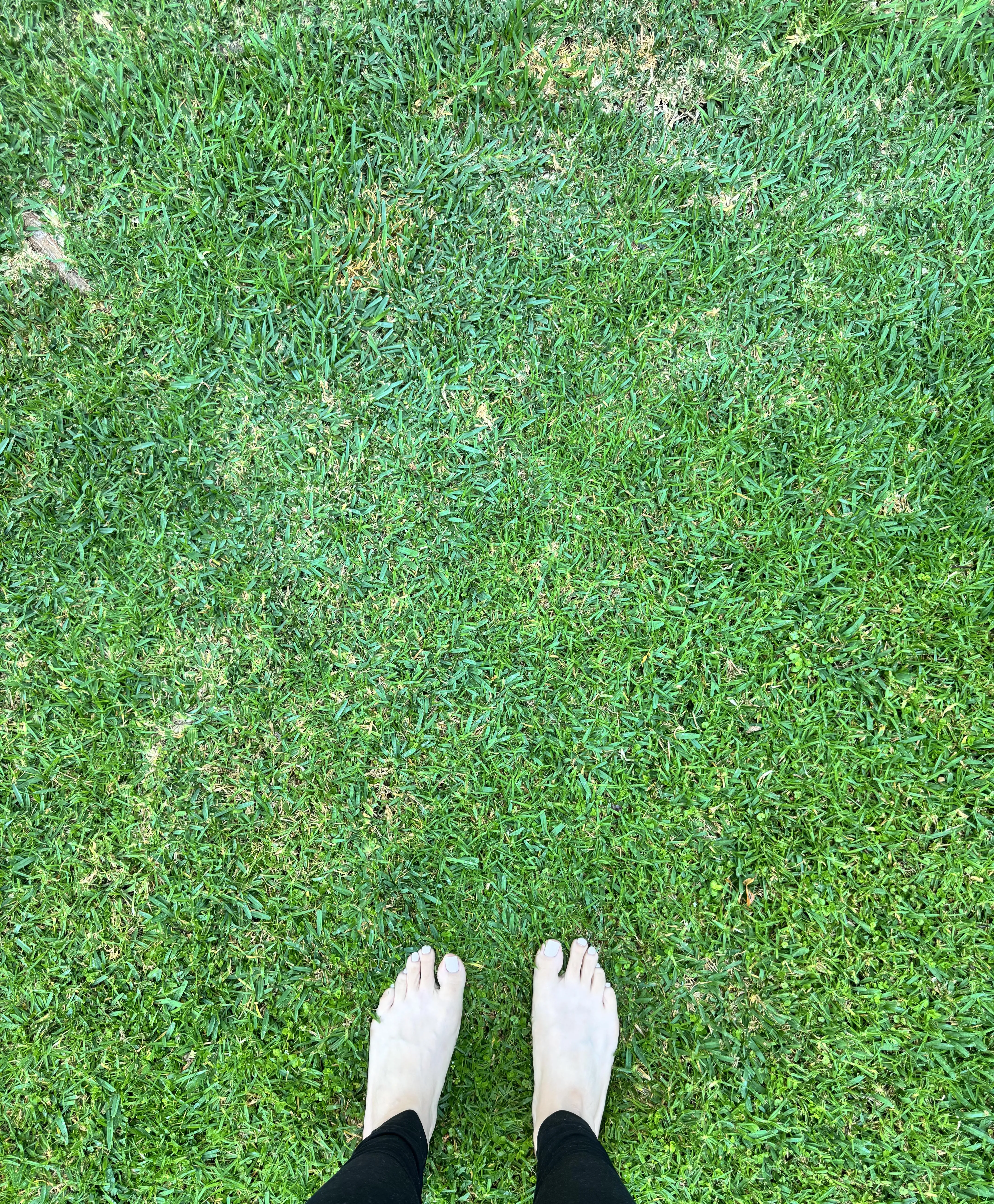 Bare toes on dewy morning grass 💚 the best feeling