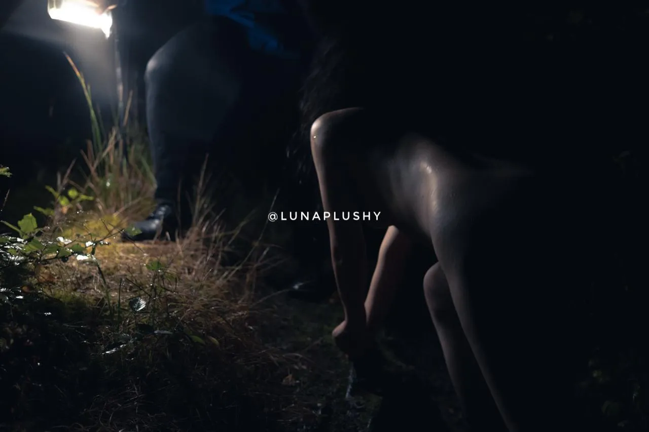 Curiosity killed the explorer