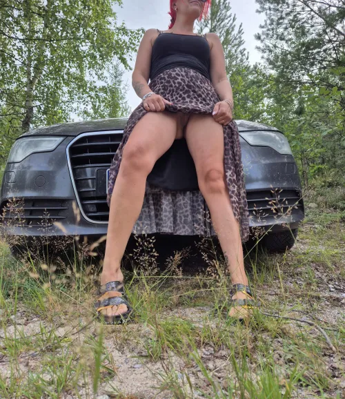 Finnish nature is really beautiful