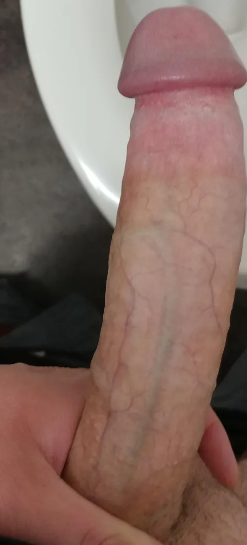 Murphy Bryson Hung Bull seeking Discreet Female FWB