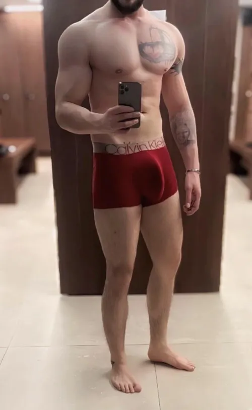 The benchmark boxers