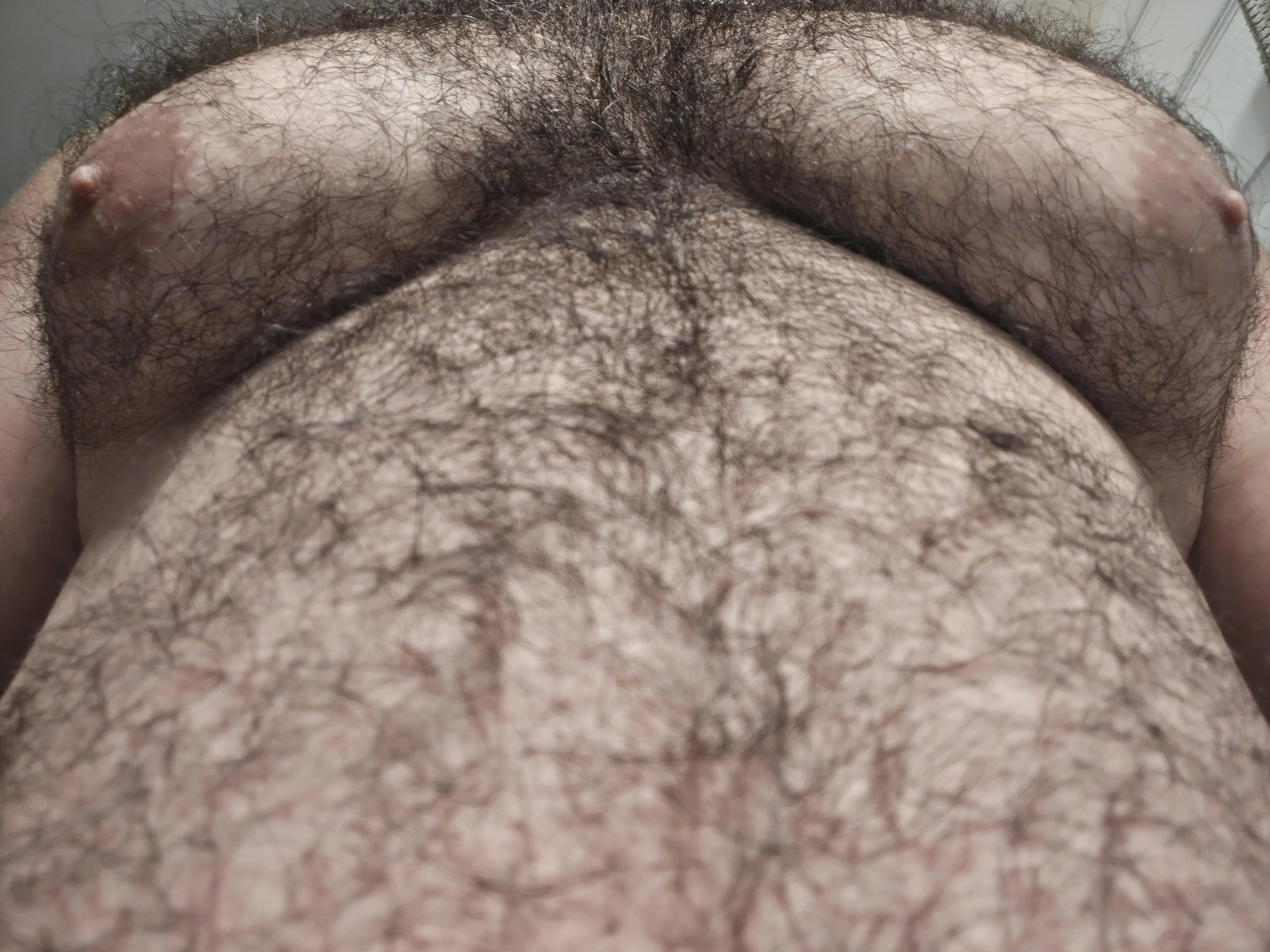 These nips love attention 😈