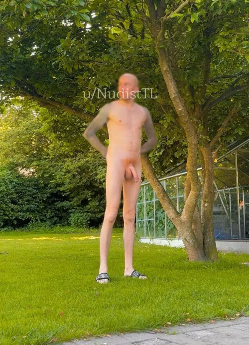 Wanna help your neighbor in there garden? 🧡❤️