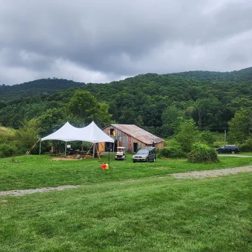 Wishing I was eating pussy in Todd Nc