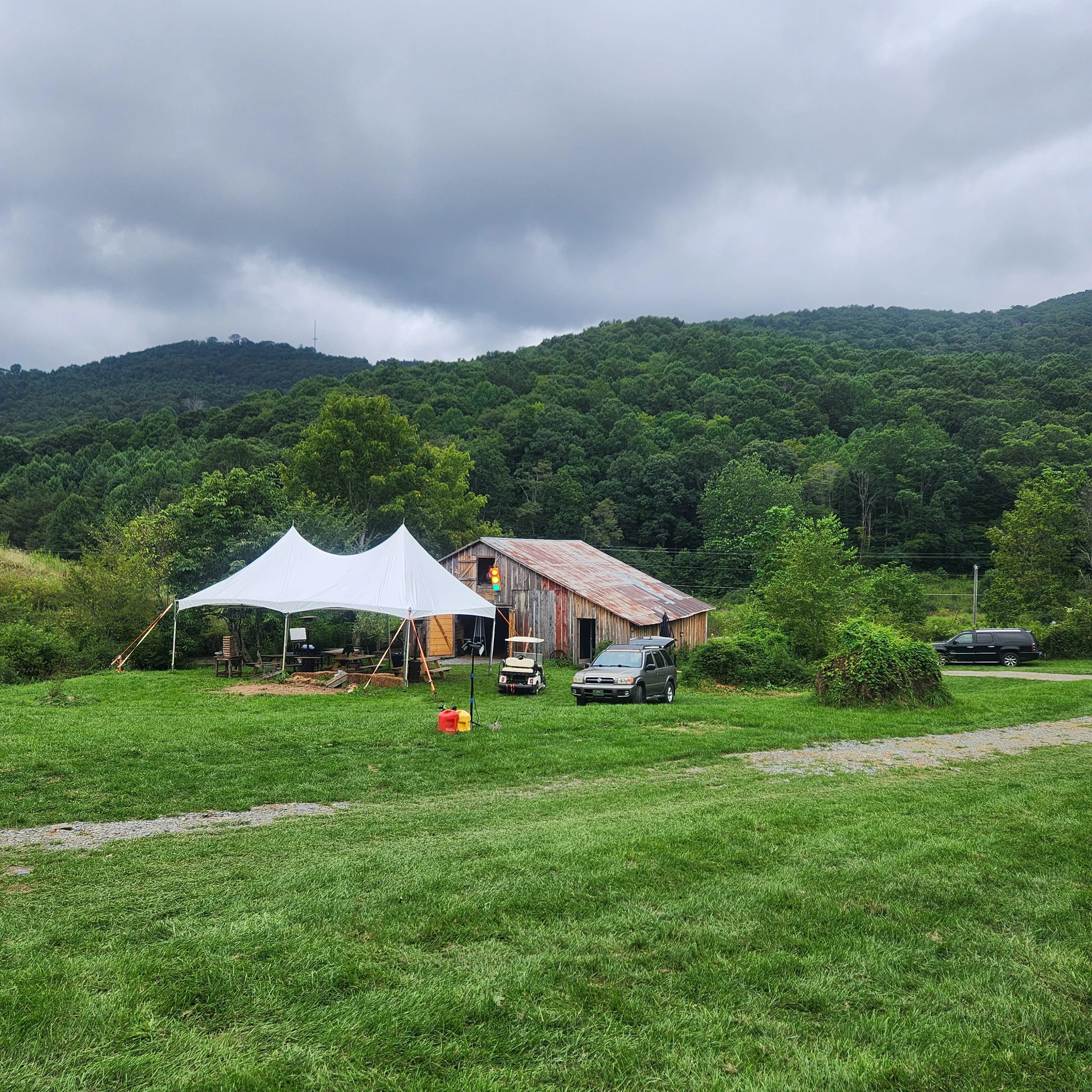 Wishing I was eating pussy in Todd Nc