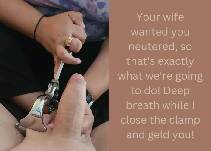 Your wife wanted you neutered, so that's exactly what we're going to do!