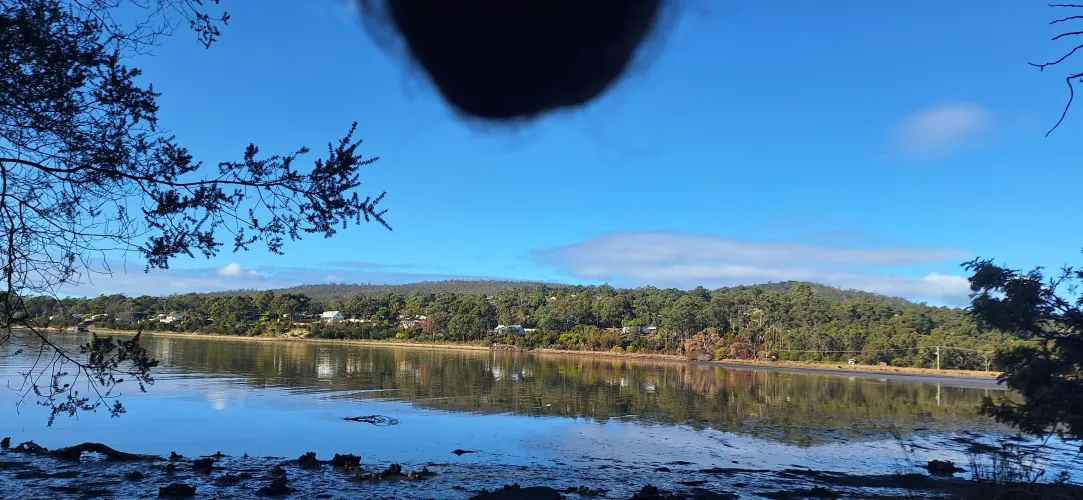 A super-low tide on a beautiful day