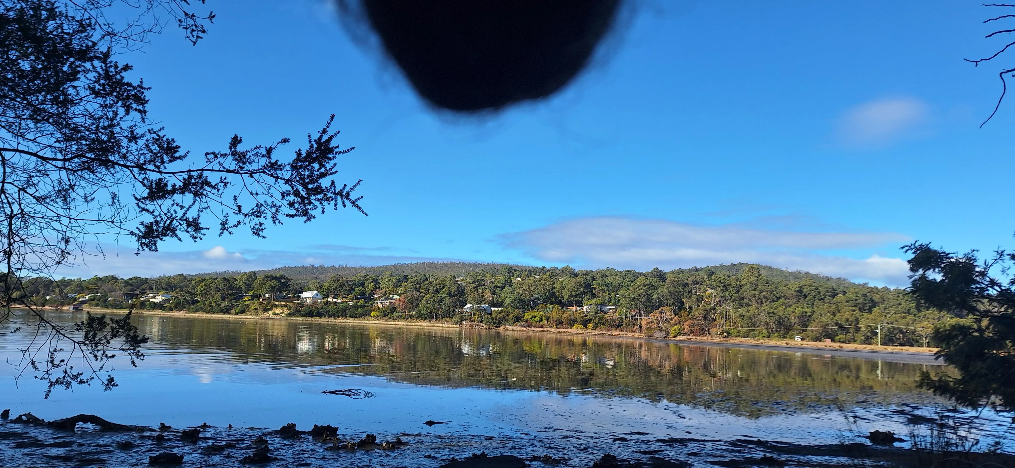 A super-low tide on a beautiful day