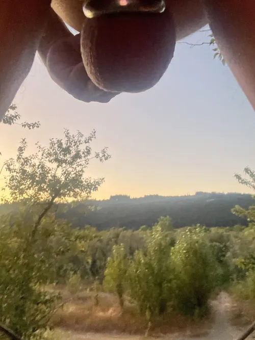 Columbia Gorge Nutscape