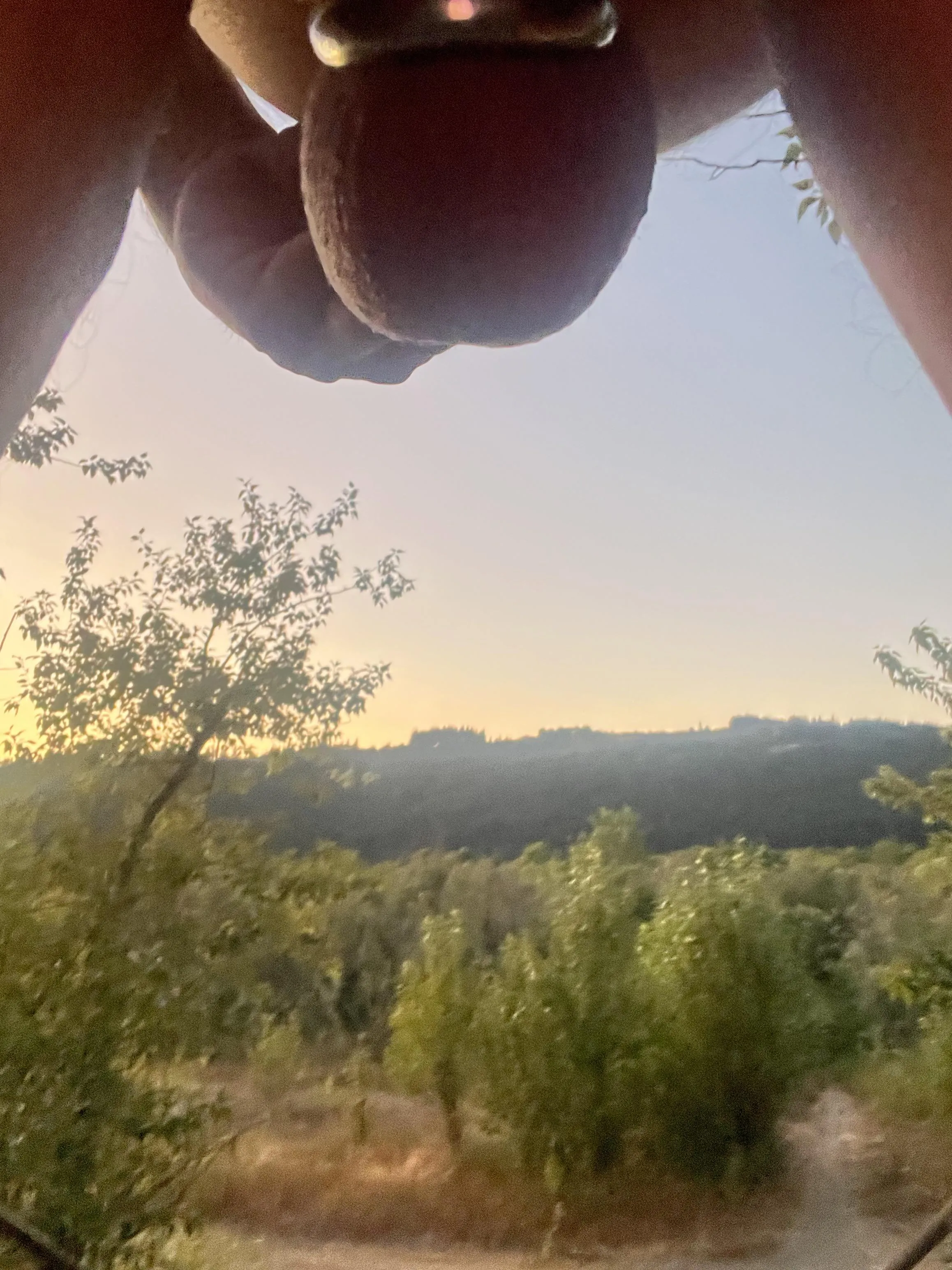 Columbia Gorge Nutscape