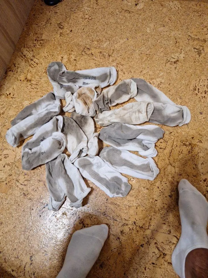 Gifting dirty socks for free. Who wants a pair?