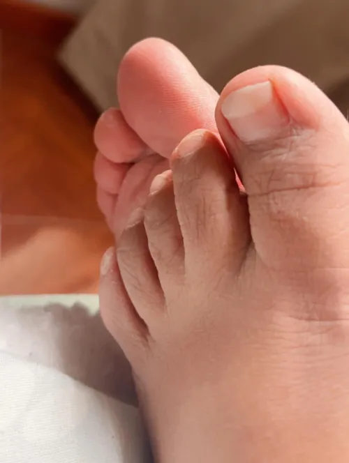 Are you a top or bottom toes kind of feet enjoyer