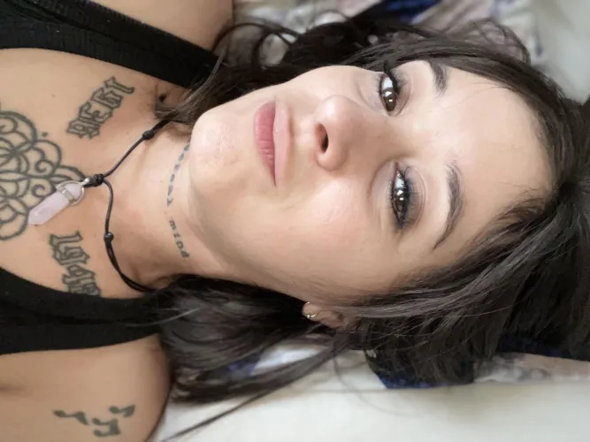 Are you looking for company? You're a lonely gentleman and you need and deserve attention. My weekly GFE is on sale.