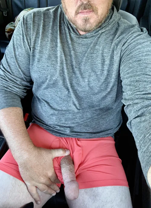 Had to stop and let him out on the way to work this morning!