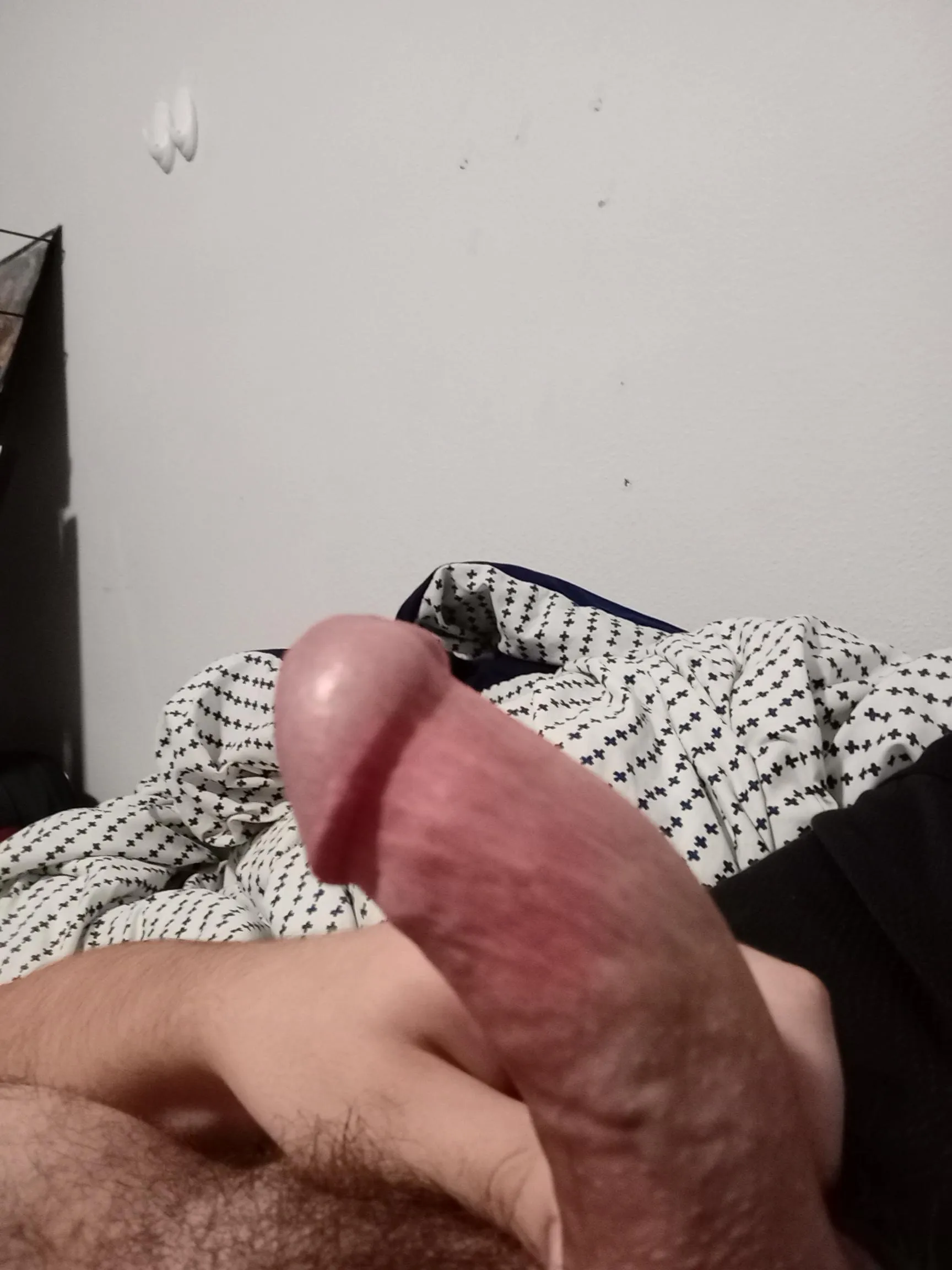 MfF feeling a little horny