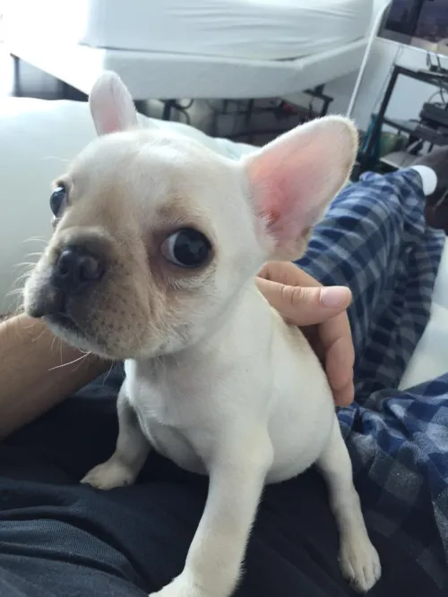 Who doesn't know: 🥰
Who knows: ☠️