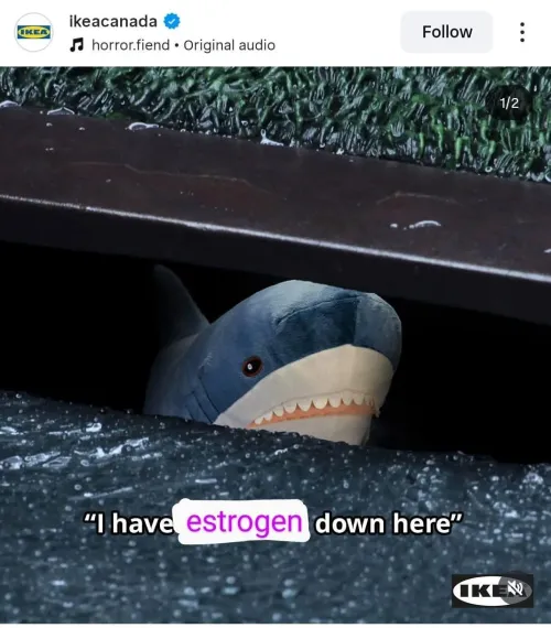 who would this trick? answer….. me