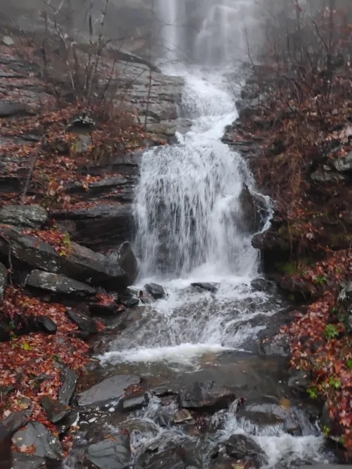 35 (M4F) lincolnton looking for a NSA std free bj