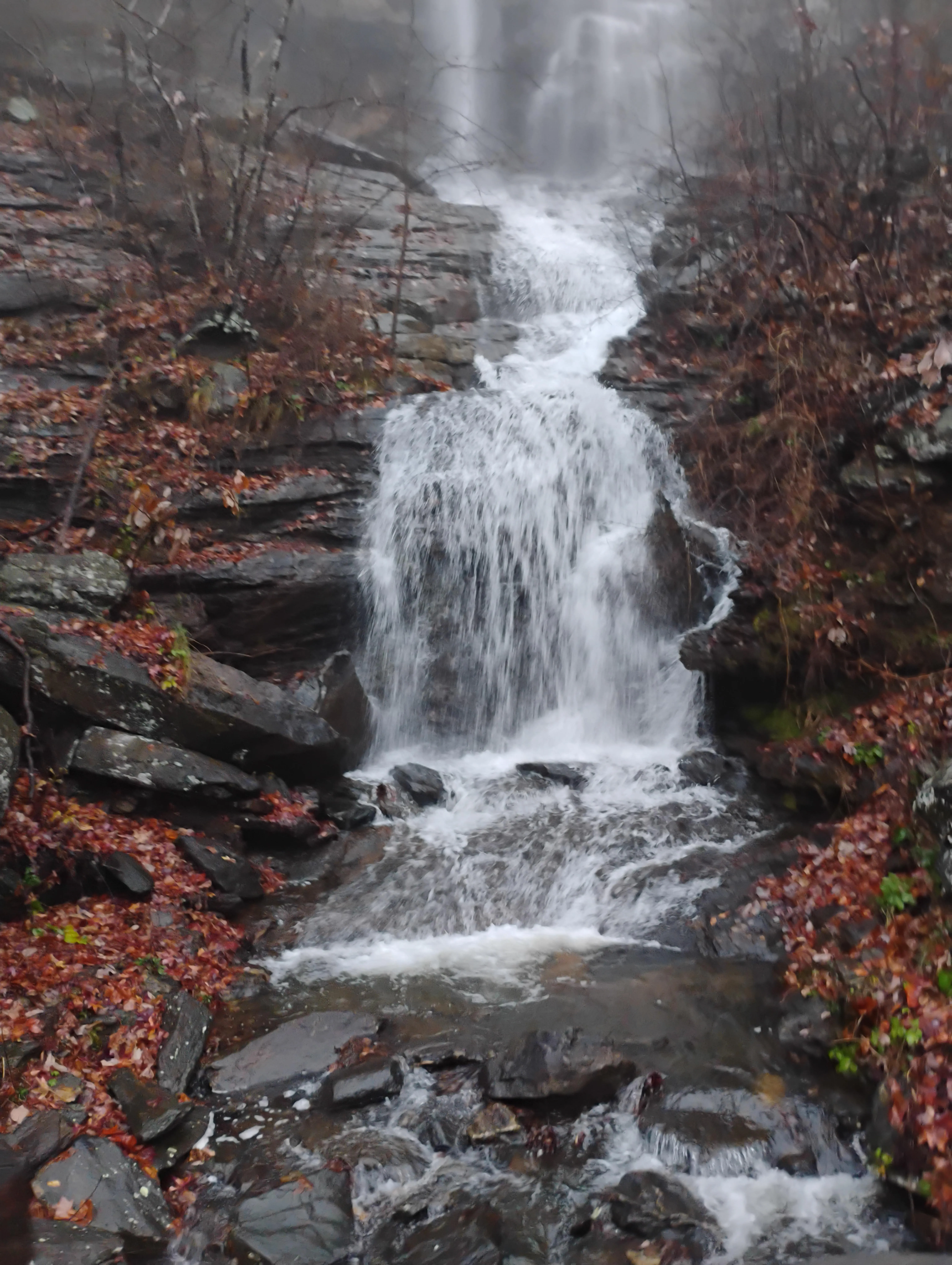 35 (M4F) lincolnton looking for a NSA std free bj