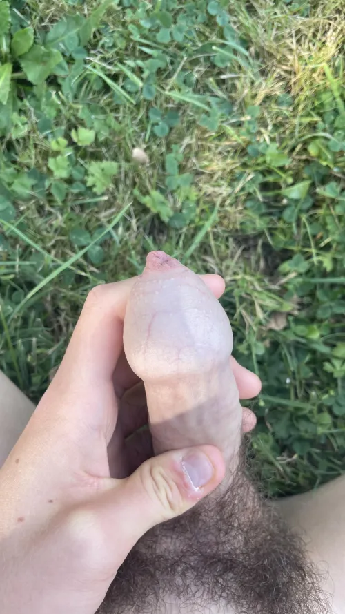 Covered cock in nature