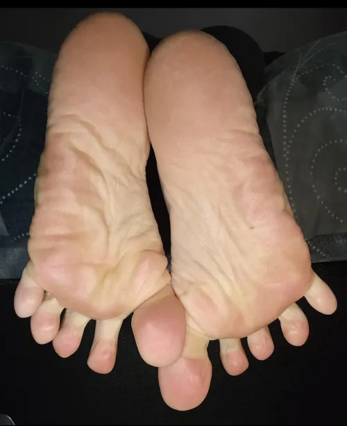 Do they look suckable?