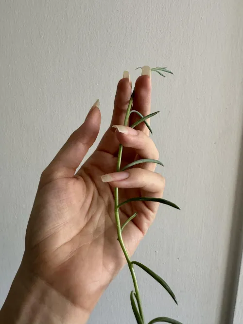 Do you like unpainted nails too? 🥰