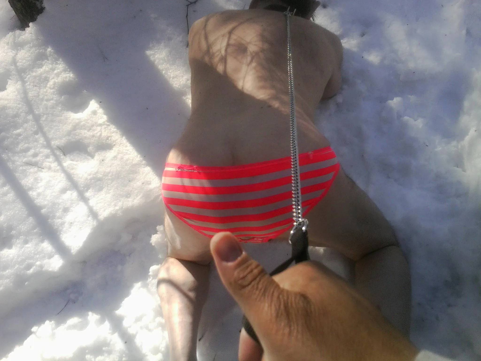 Hingham, MA -- Prey Leashed, Naked and Alone! Primal BDSM Hunter has returned ... time for bitch's walk!