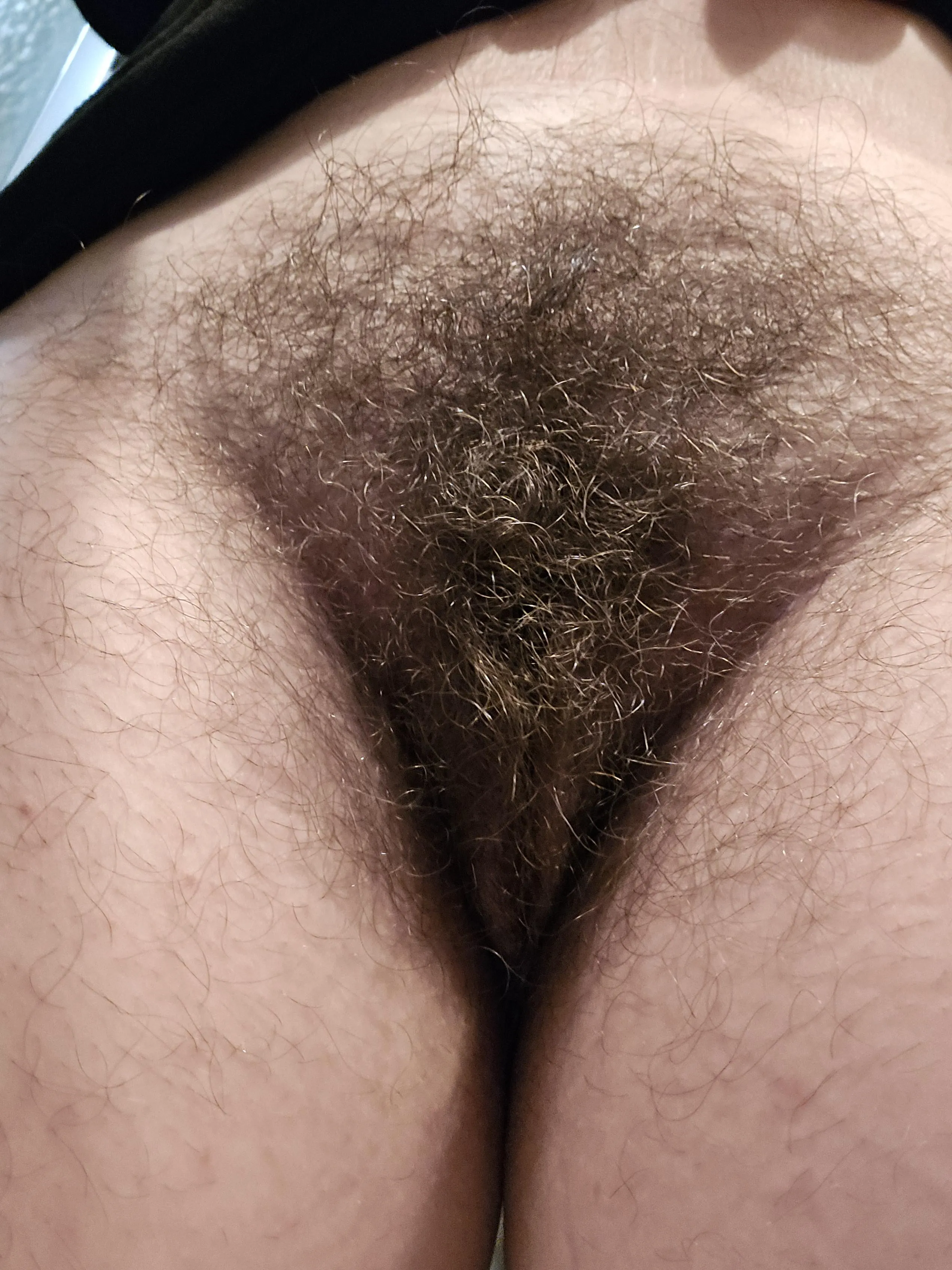 Hope you brought your appetite! [Hs]