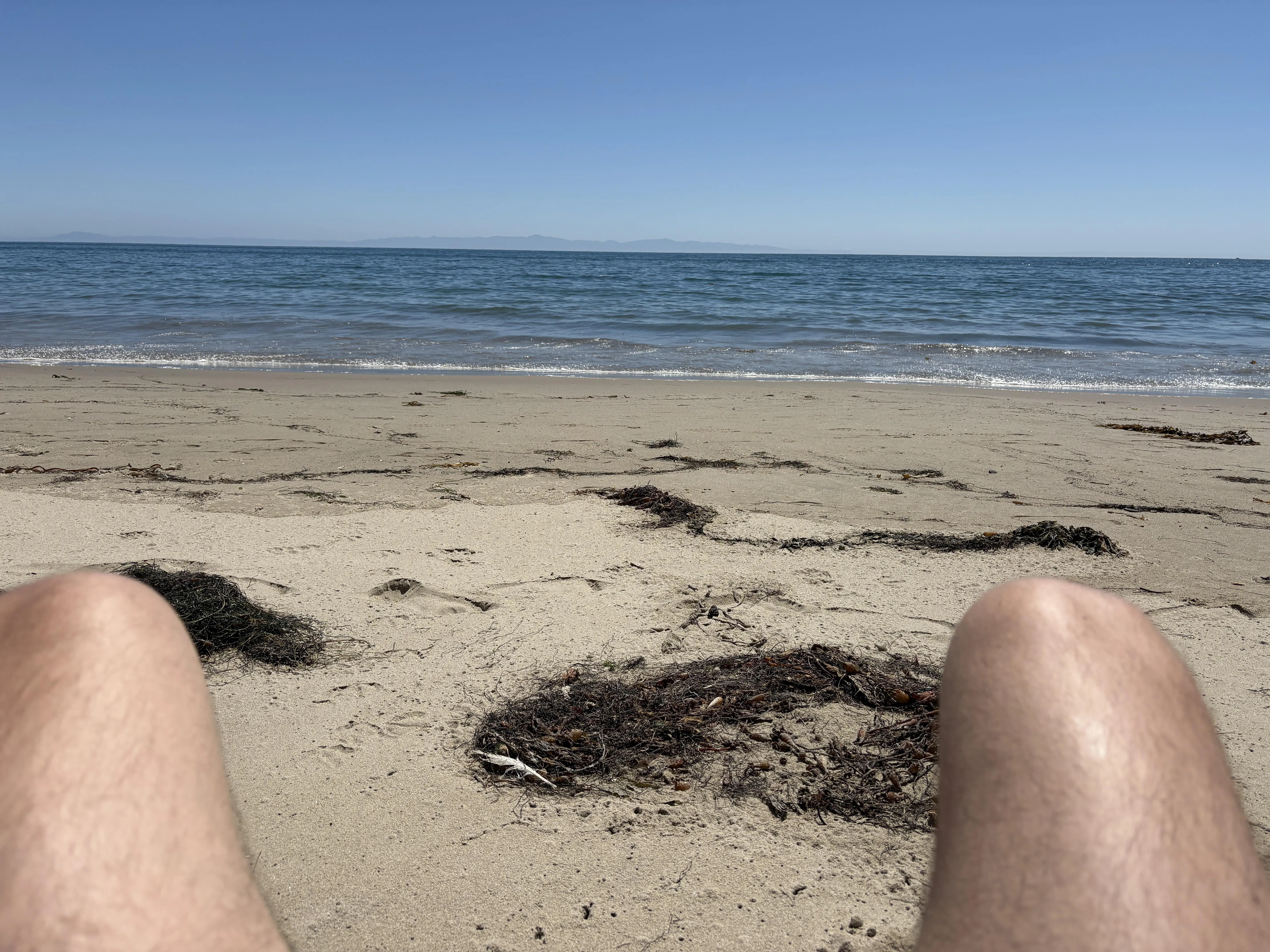 It’s absolutely gorgeous (here right now)