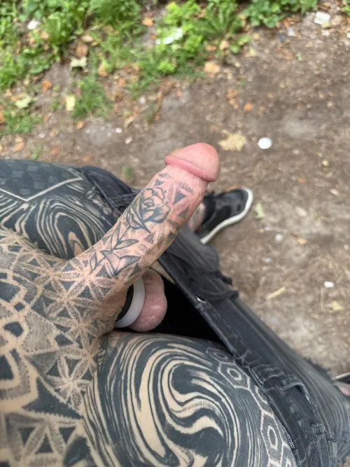 Lovely day for a walk :)