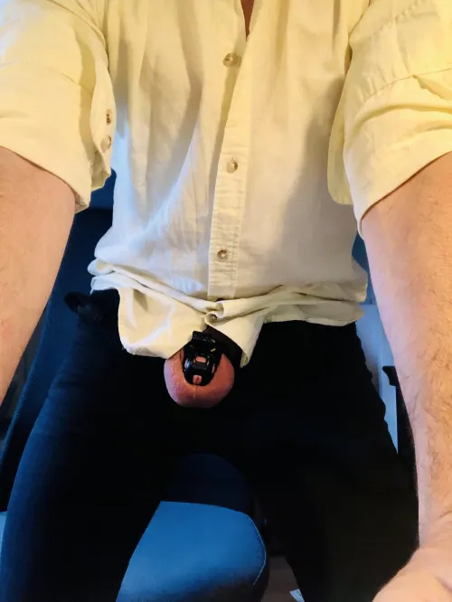 Muscles are easy. Discipline is staying locked at work. Day 15