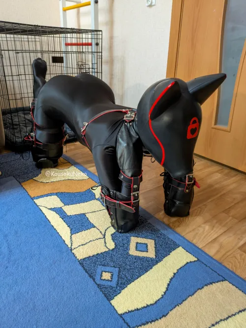 Puppy drone here. Awaiting commands 🐶