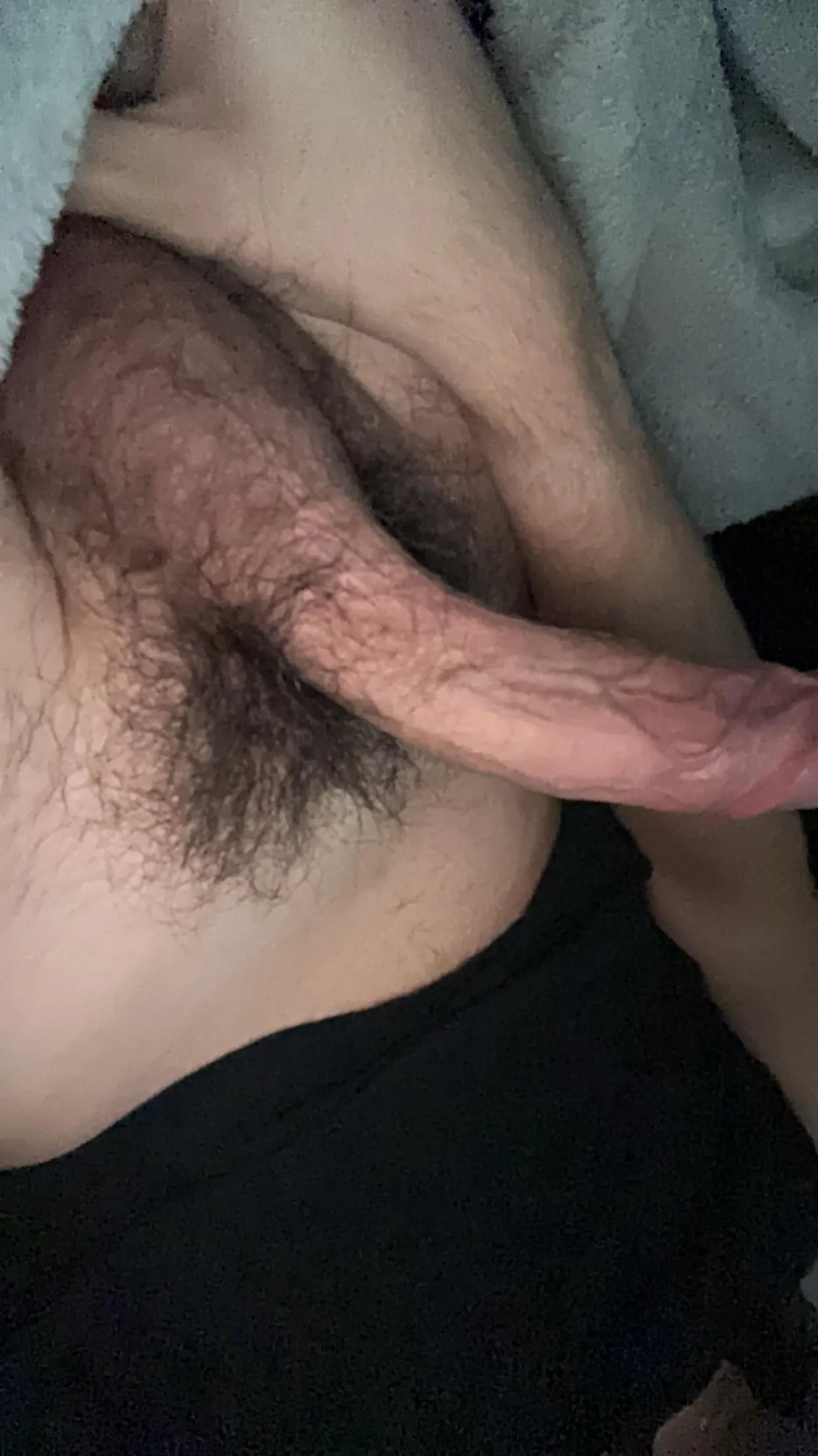 submit to this hard cock