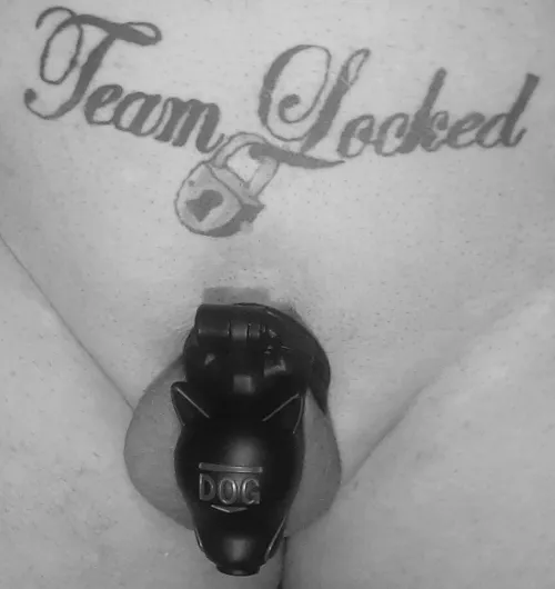 Team Locked