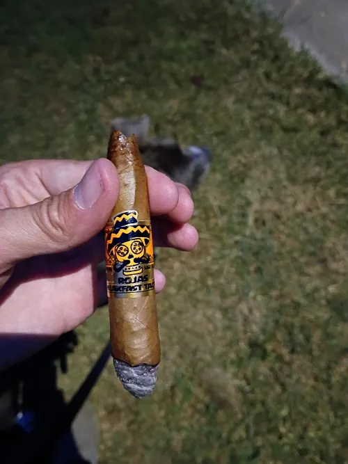 Walking the dog and having some breakfast