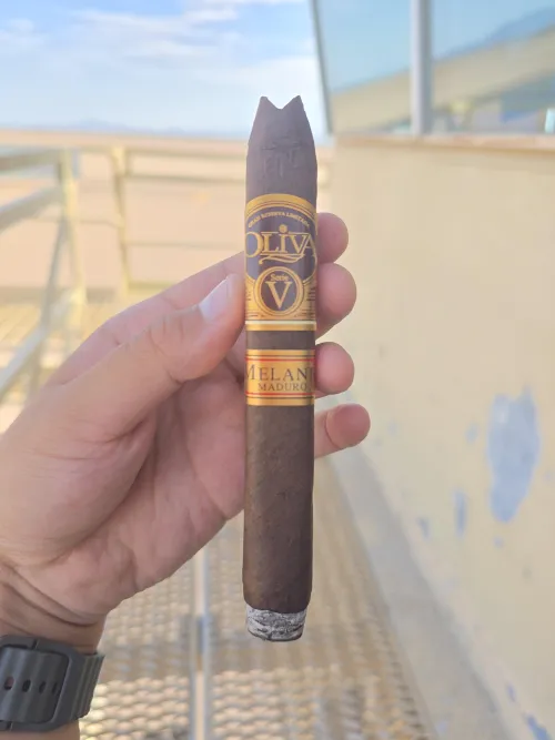 Walking Through Autumn with the Oliva Serie V Melanio Maduro