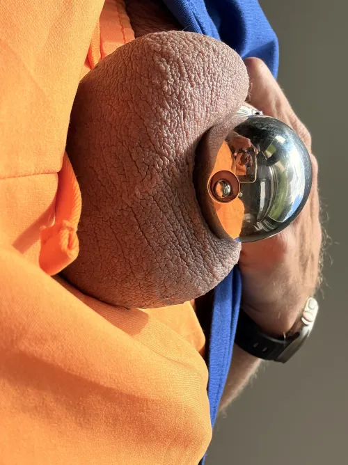 Badass Workroom BA-31P