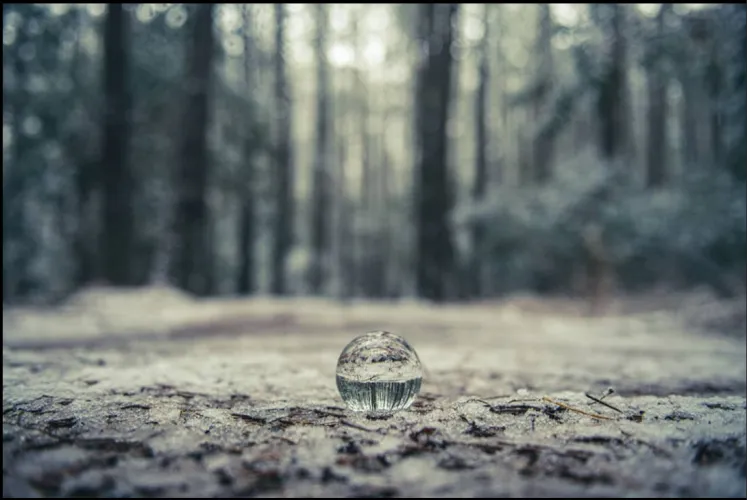 Congrats on 6k!! Read comments for instructions!